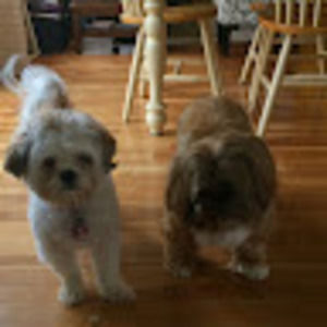 Meet your Posher, Delbert